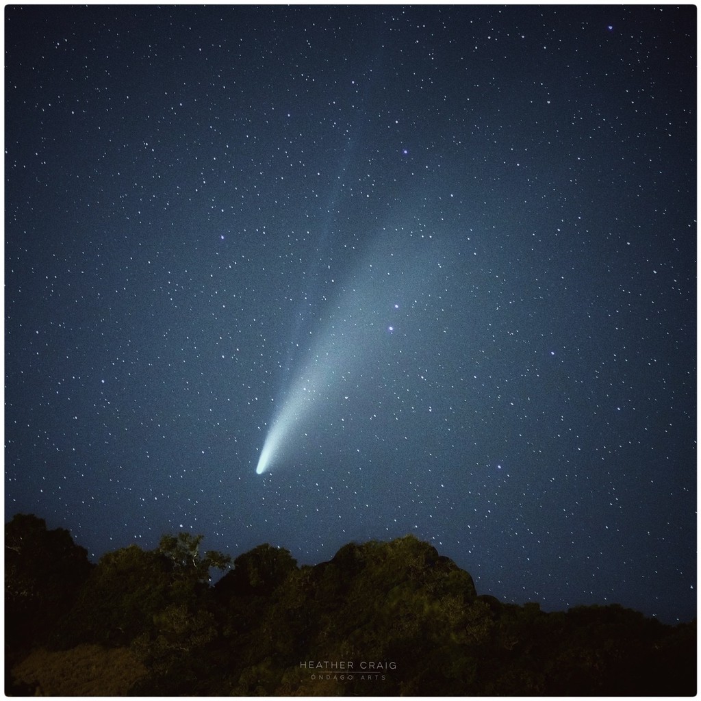 Comet NEOWISE  by pixelchix