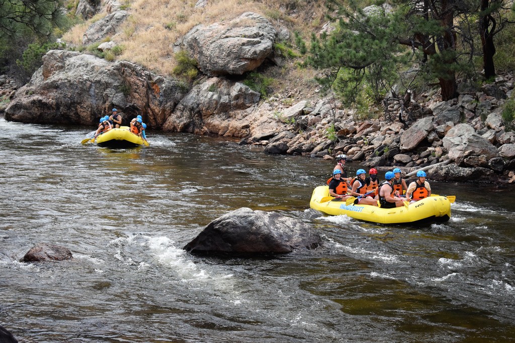 Rafting the Poudre River by sandlily