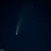 Close up Neowise Comet on 365 Project