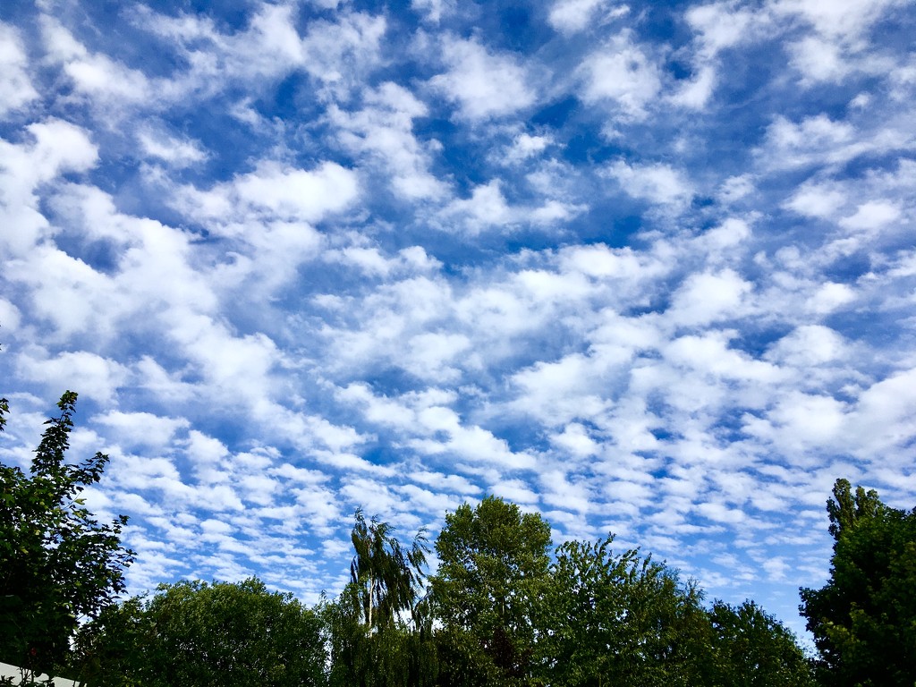 A Mackerel Sky.. by moominmomma