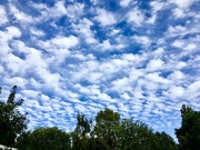 20th Jul 2020 - A Mackerel Sky..