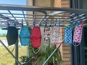 21st Jul 2020 - Hanging out to dry