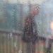 It Rained! It Poured! He Loved It! by selkie
