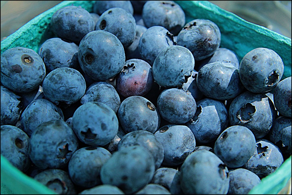Blueberries by olivetreeann