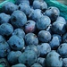 Blueberries by olivetreeann