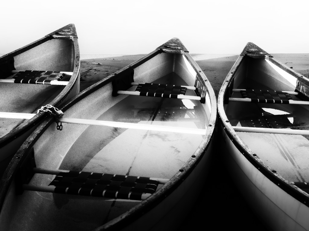 three canoes by northy
