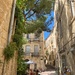 Street of Montpellier.  by cocobella