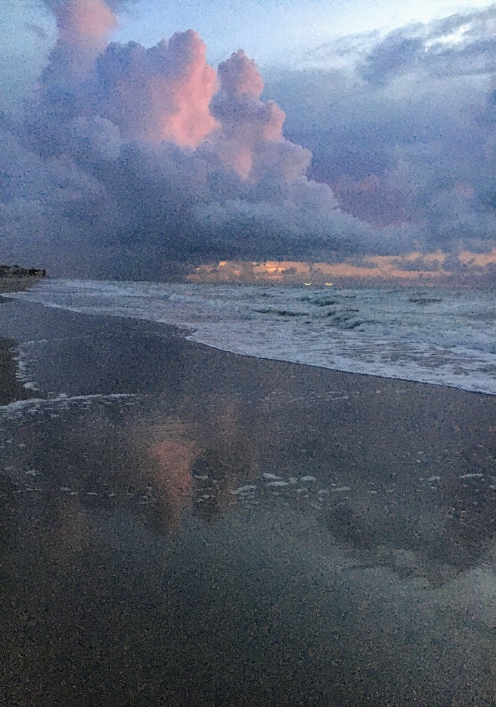 Beach Reflection by wilkinscd