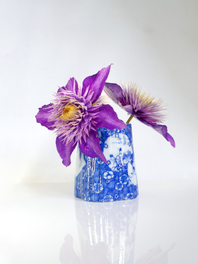 Clematis in vase by jon_lip