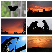 22nd Jul 2020 - My favorite silhouettes