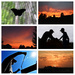 My favorite silhouettes by homeschoolmom