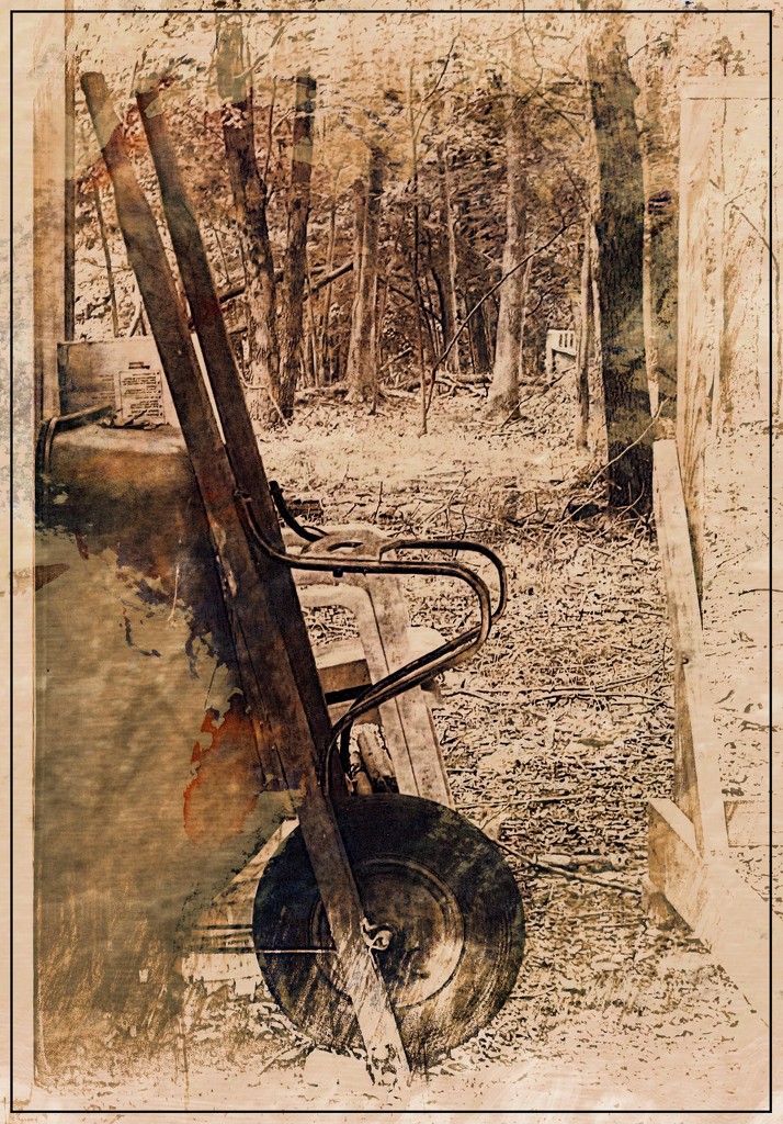 A Wheelbarrow By the Shed by olivetreeann