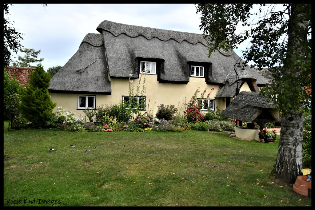 A beautiful thatched cottage by rosiekind