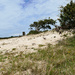 dunes by marijbar