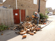 22nd Jul 2020 - The wood pile