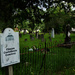 Clinton Confederate Cemetery  by eudora