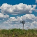 Windmill Afar by judyc57