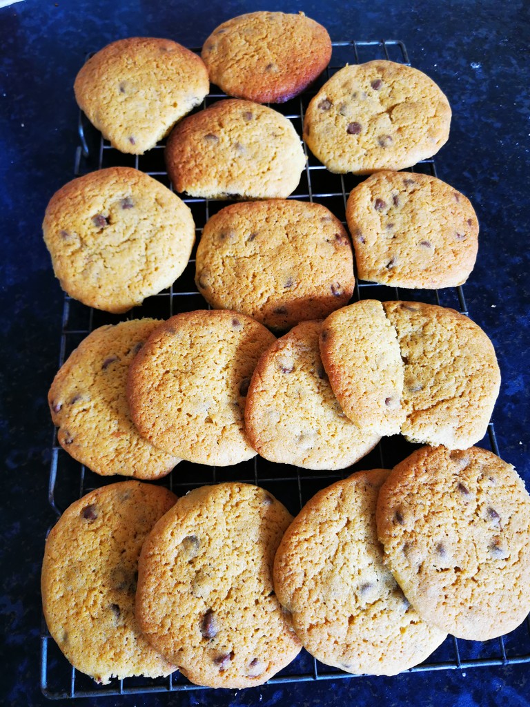 First Batch of Cookies  by plainjaneandnononsense