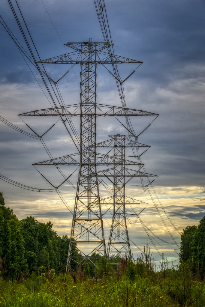 Powerlines by kvphoto