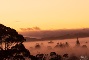 26th Jul 2020 - Mist over Te Kauwhata