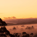 Mist over Te Kauwhata by yorkshirekiwi