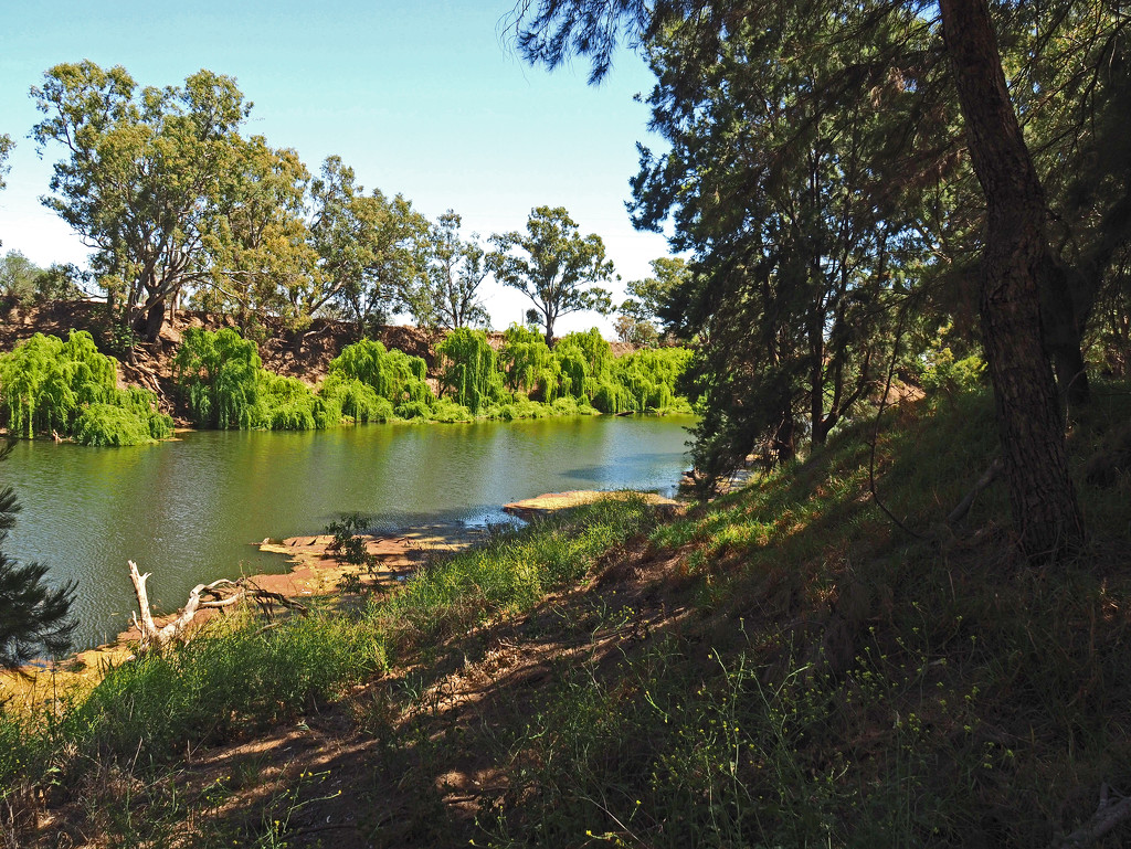 Macquarie River  by ianjb21
