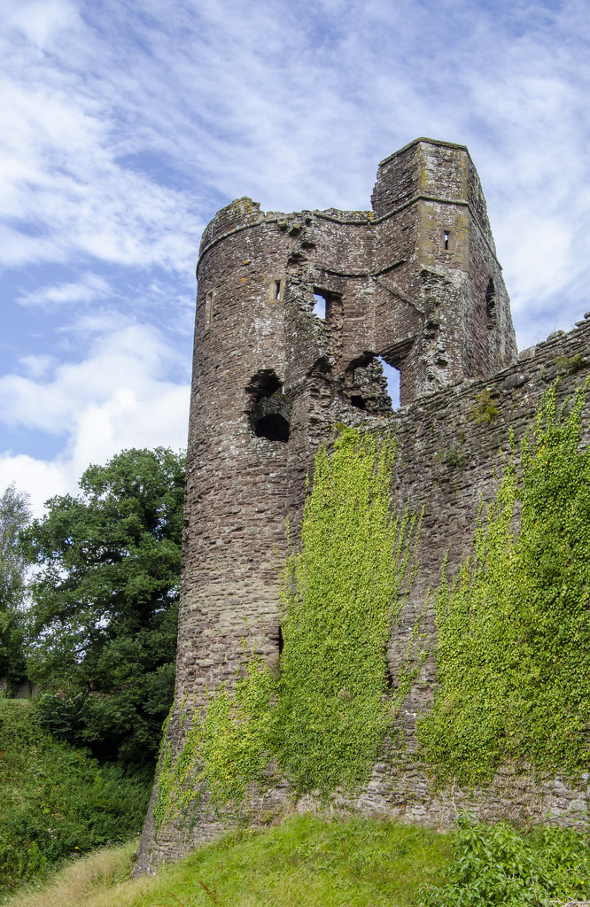 Grosmont Castle by clivee