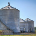 Metal silos by mittens