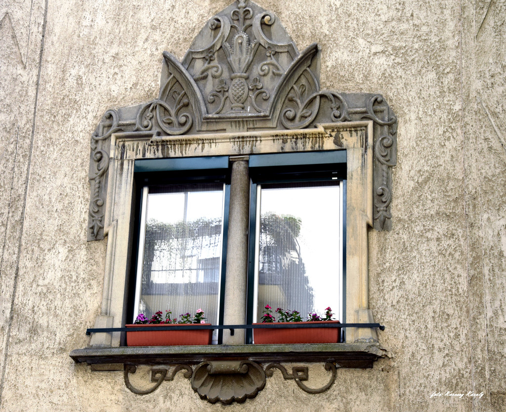 Ornate window .... by kork