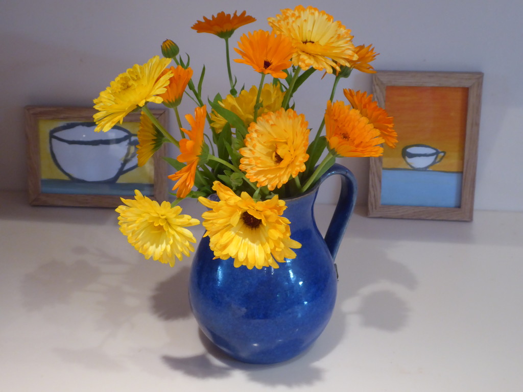 mixed marigolds by snowy
