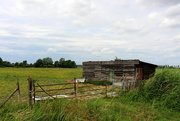 26th Jul 2020 - An old shed .