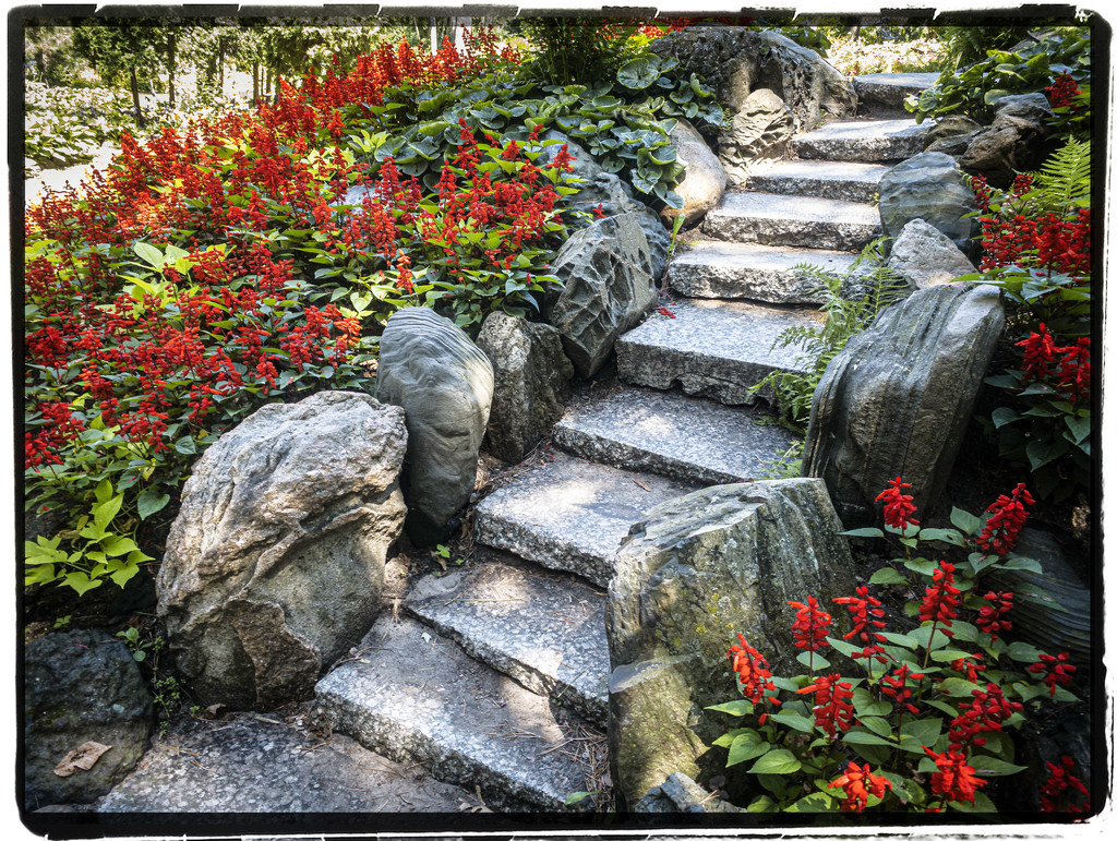 Munsinger Garden stairs by jeffjones