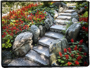 23rd Jul 2020 - Munsinger Garden stairs