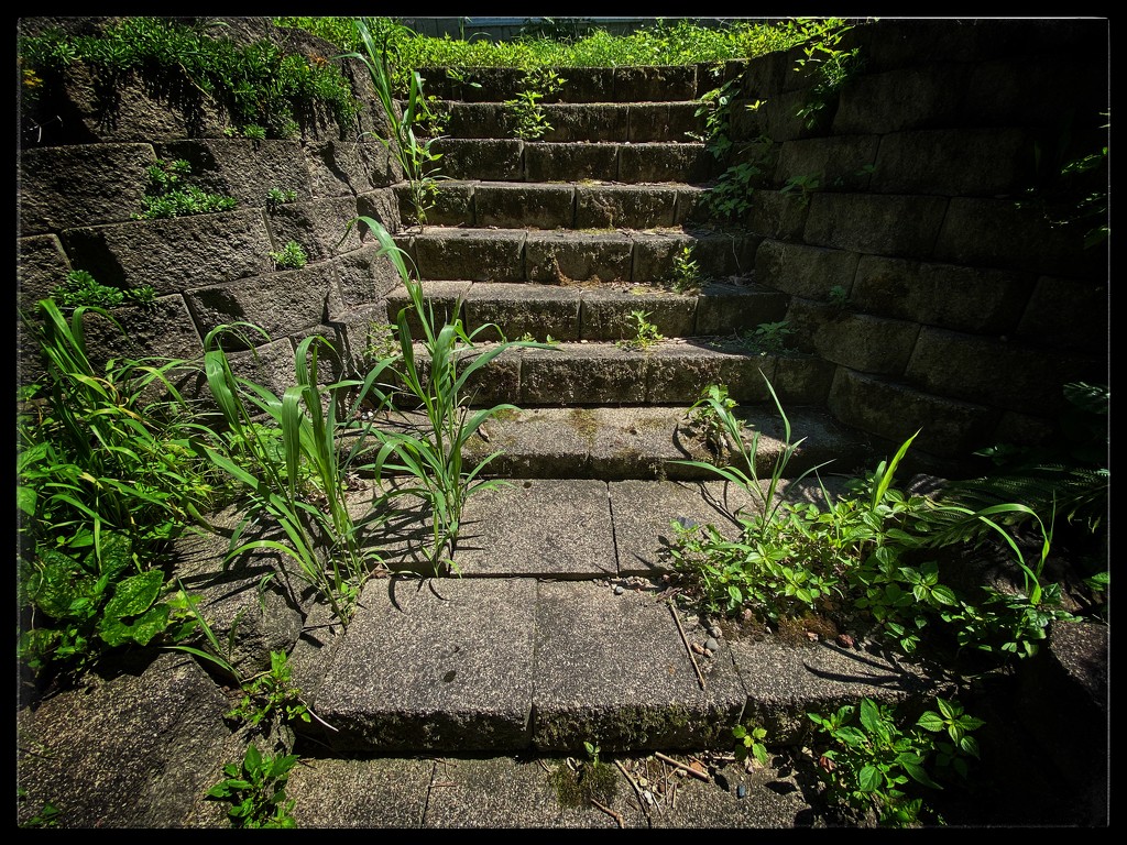 Backyard Stairs by jeffjones