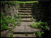 22nd Jul 2020 - Backyard Stairs