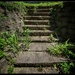 Backyard Stairs by jeffjones