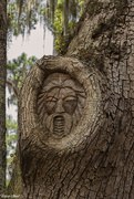 17th Jul 2020 - Tree Spirit of St Simons Island