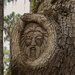 Tree Spirit of St Simons Island by lstasel