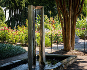 26th Jul 2020 - Waterfall Fountain in the Gardens