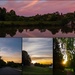 Photos from todays evening walk by ramr