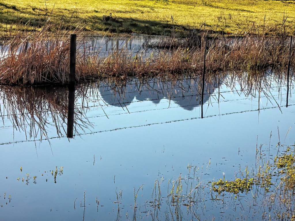 The Helderberg in a puddle by ludwigsdiana
