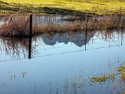 27th Jul 2020 - The Helderberg in a puddle