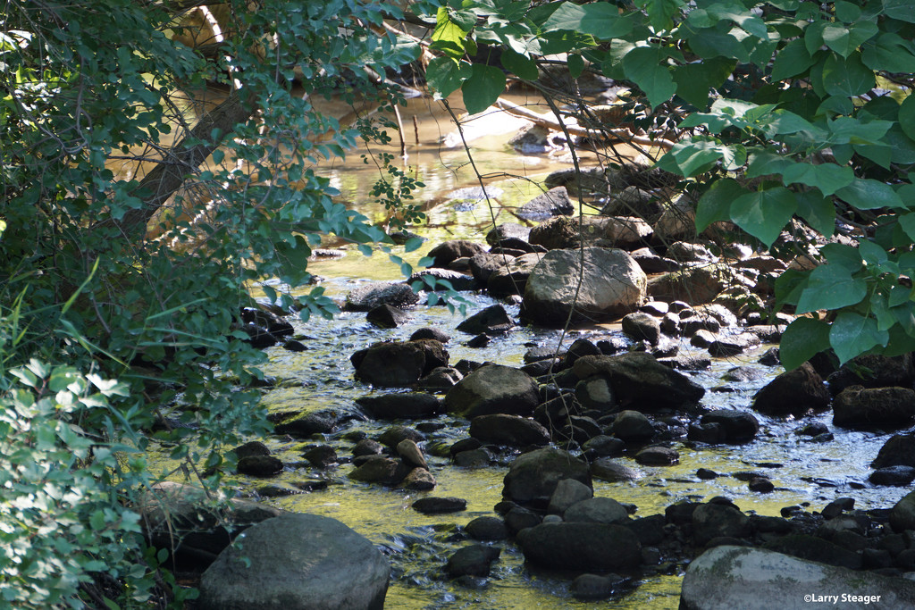 Summer creek by larrysphotos