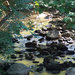 Summer creek by larrysphotos