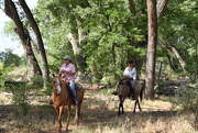 28th Jul 2020 - Horsebacking in the Bosque.