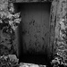 Old Barn Door by olivetreeann
