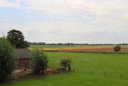 28th Jul 2020 - Country view 
