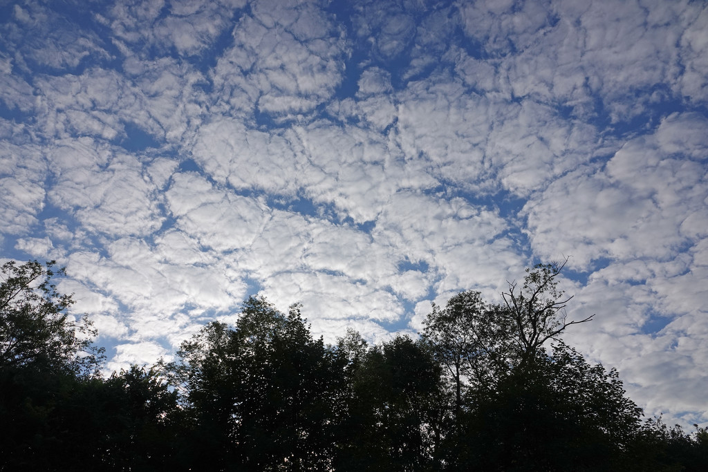 Clouds by annepann