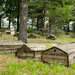 Burial Ground  by vera365