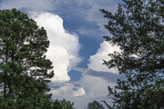 28th Jul 2020 - Complex Clouds